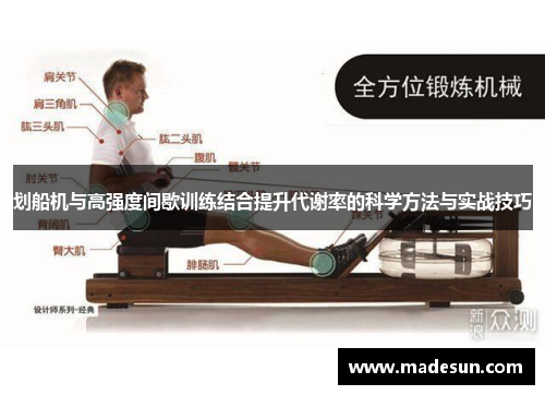 划船机与高强度间歇训练结合提升代谢率的科学方法与实战技巧
