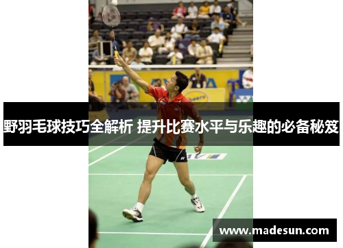 野羽毛球技巧全解析 提升比赛水平与乐趣的必备秘笈